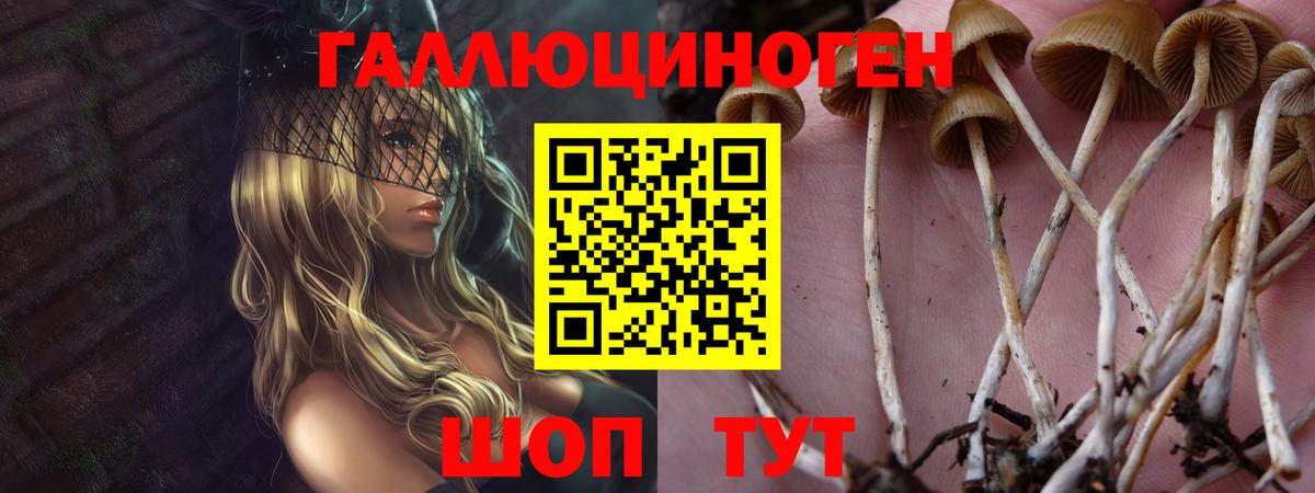 Галлюциногенные грибы MAGIC MUSHROOMS  Псилоцибиновые грибы Psilocybine cubensis  Вход с VPN  Калуга 